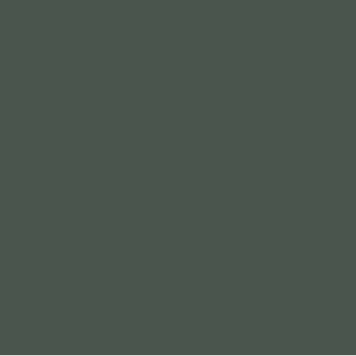 Dark Battleship Grey Polyester Pigment (PCP3984)