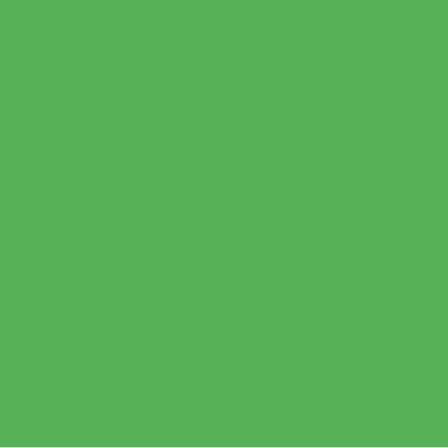 Light Bright Green Polyester Pigment (PCP3765)