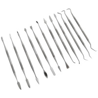 12 Piece Stainless Steel Carving Set