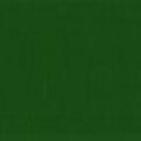 RAL 6002 (PCP24235) Green Polyester Pigment