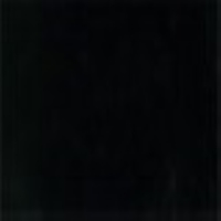 RAL 9017 (PCP26097) Black Polyester Pigment