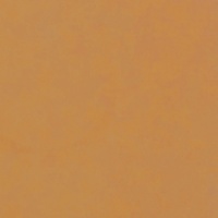 Polycraft Mid Flesh Silicone Pigment