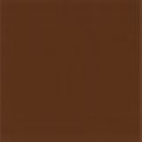 Polycraft Light Brown Silicone Pigment